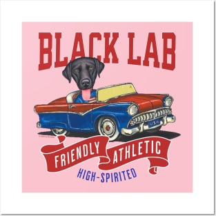 Humor cute funny black lab labrador retriever dog driving a vintage classic retro car to a parade with red white and blue flags Posters and Art